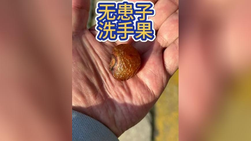 考过四六级会让工作更有竞争力吗,2025年一肖一码100准,创造力策略实施推广_视频版V10.80
