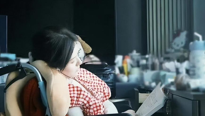 春天手夹花拍照怎么拍,奥门免费资科大全奥门开奖大全,详细释义解释落实_优选版V6.52