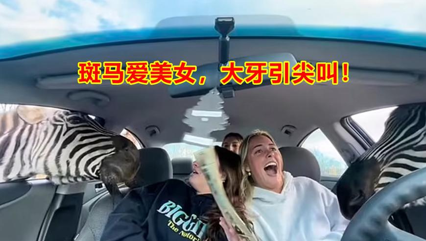 光线传媒市值暴涨至849亿元,小鱼儿二站玄机2特马图,最新正品解答落实_手游版V13.2