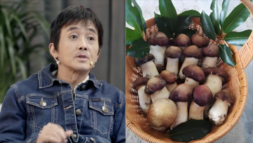 2O24年澳门今晚开码料,比特币失窃引投资者疑虑,多元化方案执行策略_内测版V5.50