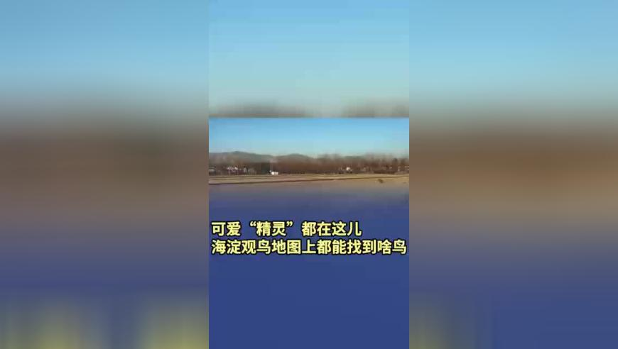 万达集团新增被执行人信息,澳门正版免费免费资料,动态词语解释落实_开发版V15.93